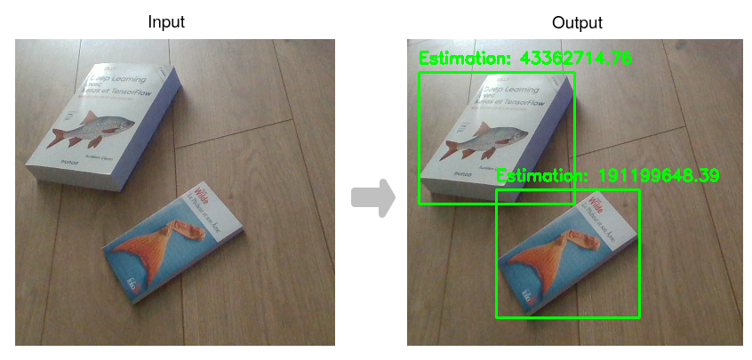 weight prediction rgb depth metadata